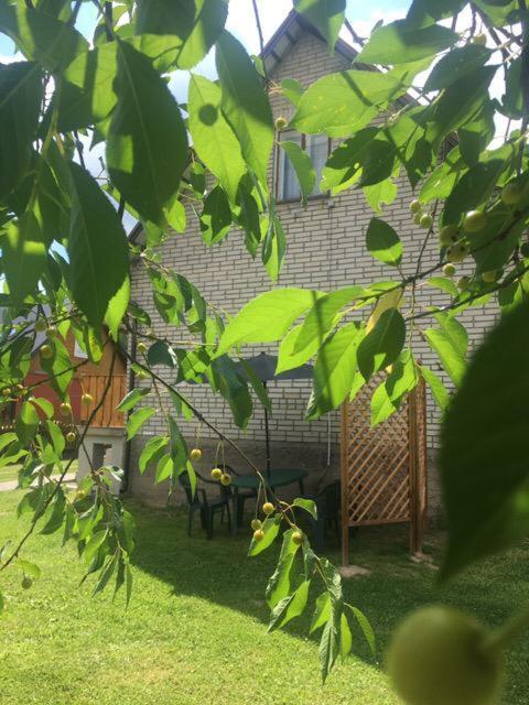 Apartament Pod Wisnia Supraśl Εξωτερικό φωτογραφία